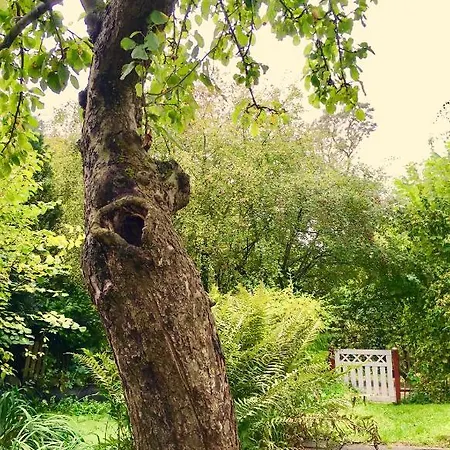 Ferienwohnung Ostseehaus Apfelgarten *